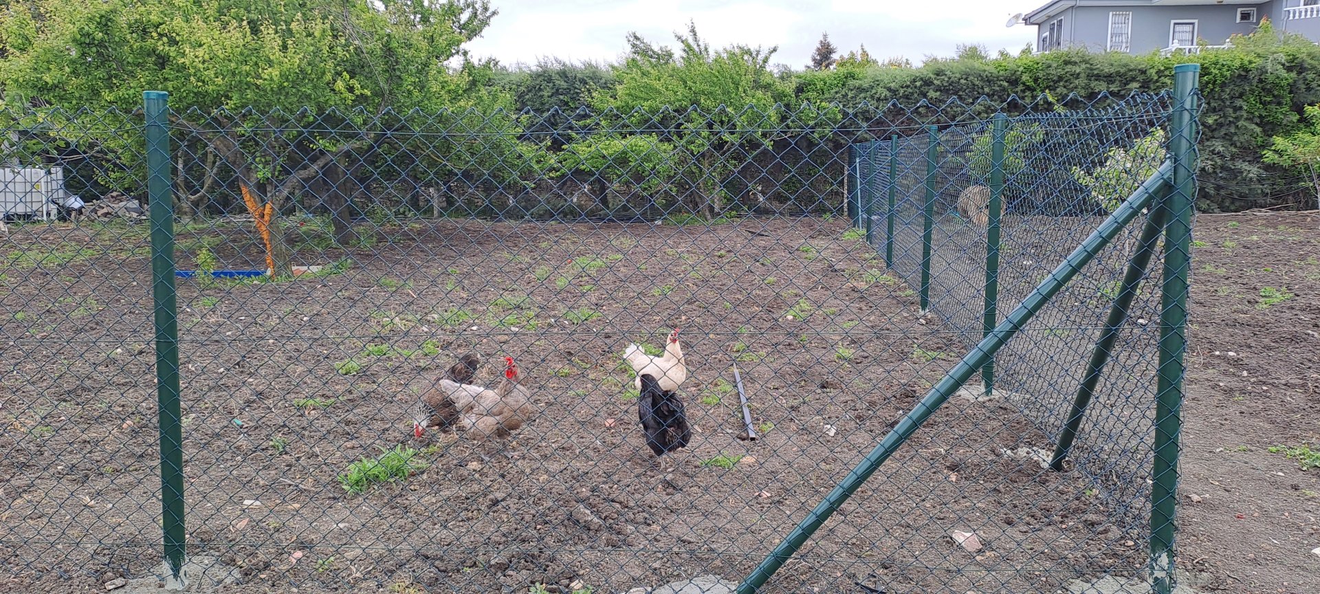 Portatif Çit Sistemleri